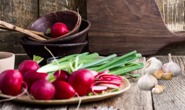 herbarium_radish_garlic_FOUNTES