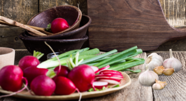 herbarium_radish_garlic_FOUNTES